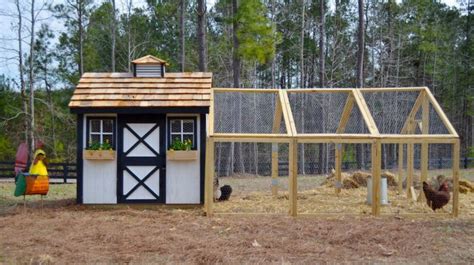 How To Build A Backyard Chicken Coop Homesteading
