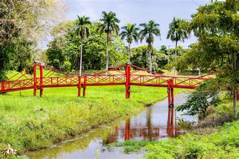 Suriname, formerly the colony of netherlands guiana or dutch guiana, is a country in northern south america. Rondreis Suriname | TUI