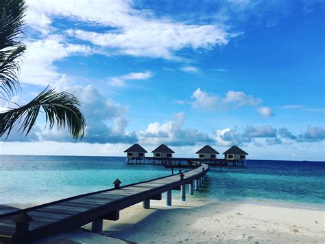 Maldives The Sunny Side Of Life Charventurous