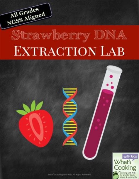 How to extract dna from a strawberry strawberry dna dna is a fascinating subject. Activities, Home and Biology on Pinterest