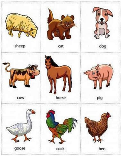 Gambar nama-nama hewan dalam bahasa Inggris yang cocok untuk anak TK dan Paud - Belajar Bahasa