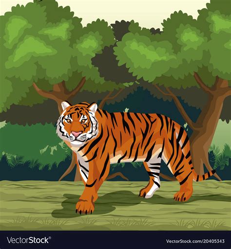 Tiger In The Jungle Royalty Free Vector Image Vectorstock
