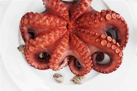 Premium Photo Whole Fresh Raw Octopus On Plate Closeup