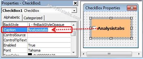 VBA Caption Property Of CheckBox Explained With Examples