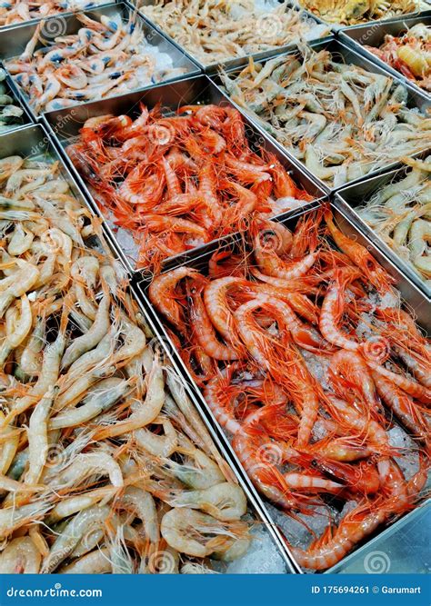 Different Types Of Prawns Shrimp At Market Stock Image Image Of Rose