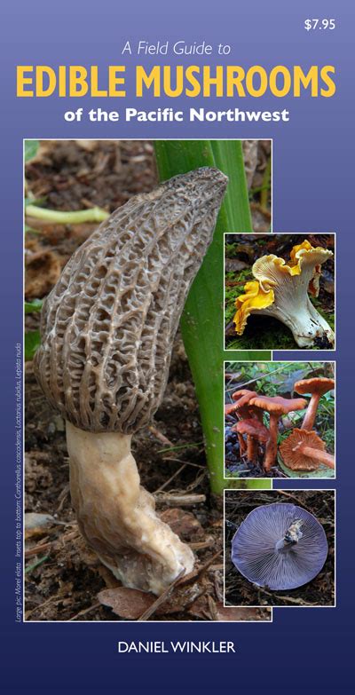 Field Guide To Edible Mushrooms Of California Mushroaming Daniel