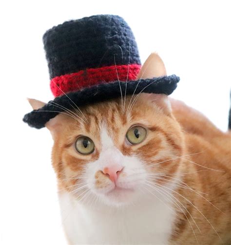 Top Hat For Cats Cat Wedding Apparel Cat Formal Wear Feline Accessories