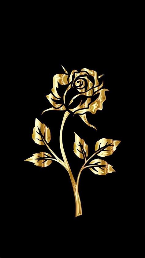 Golden Rose Wallpapers Top Free Golden Rose Backgrounds Wallpaperaccess