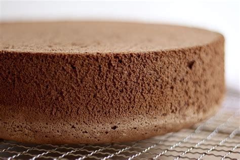 Schoko Tortenboden Rezept Schoko Torte Rezept Gutekueche De