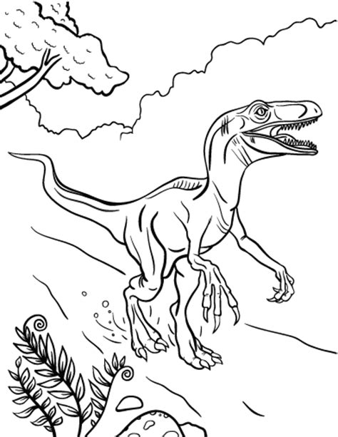 This is coloring page feature picture to color for kids who love dinosaur. Free Velociraptor Coloring Page