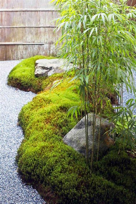 How do you plant bamboo outdoors? 53 Bamboo Garden Ideas That Will Inspire You - Garden Tabs