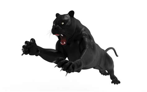 Black Jaguar Jumping