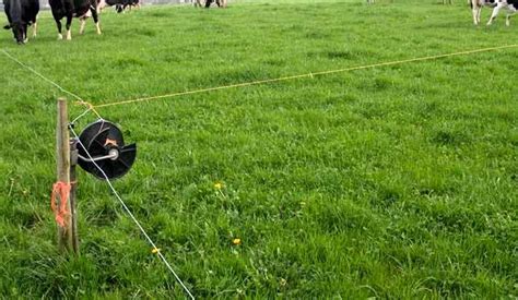 Save even more on bundles, b stock and limited ti… Planning Your Portable Electric Fences - The Smart ...