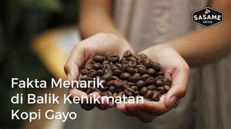 Ini Lho Fakta Menarik Tentang Kopi Gayo Sasame Coffee