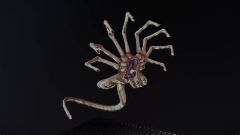 Face Hugger D Model By MentalElemental MentalElemental F Ba Ee Sketchfab D Model