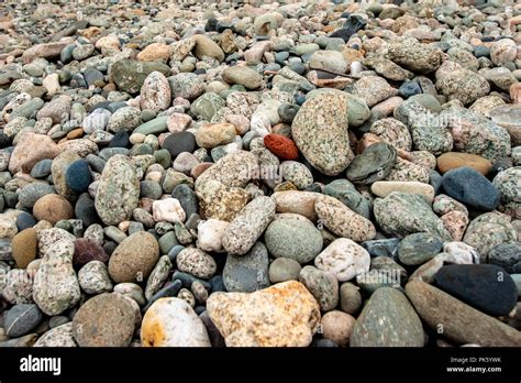 Rocky Beach Landscape W Smooth Sea Stones Newport Rhode Island