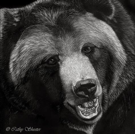 Make sure you also check out any of the hundreds of drawing tutorials. Black Bear Sketches and Drawings | Realistic Animal ...