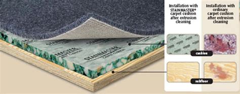 Find aesthetic carpet padding fit for all flooring types. Stainmaster Carpet Cushion | Carpet Padding for Sale