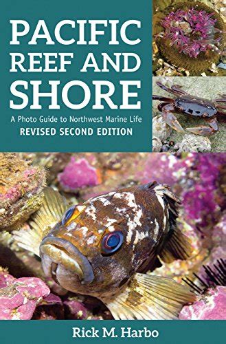 Pacific Reef And Shore A Photo Guide To Northwest Marine Life From