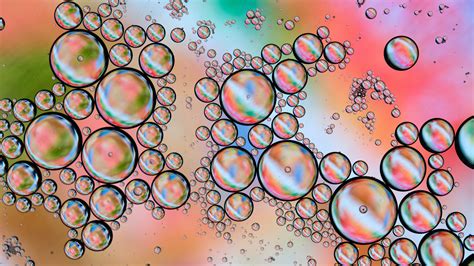 Download Wallpaper 2560x1440 Bubbles Gradient Colorful Abstraction
