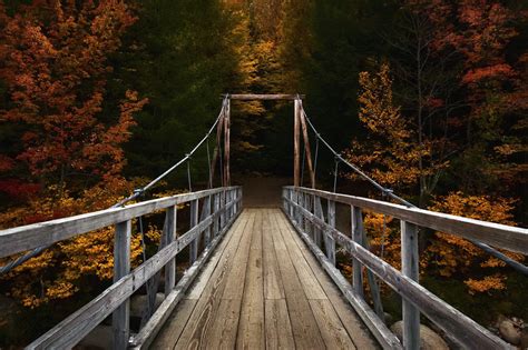 Wallpaper Outdoors Wood Bridge Forest Red Leaves Nature 2048x1365