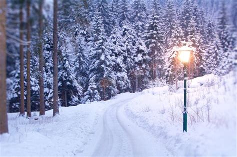 Lamp Post In Winter Stock Image Image Of Trees Park 111474201
