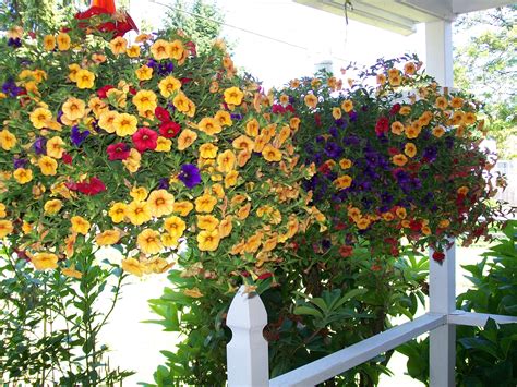 Front Porch With Hanging Baskets Love Flowers Hanging