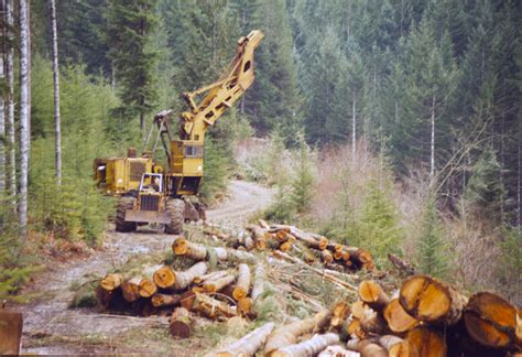 Benefite of biodiversity to society. Swing yarder - Wikipedia