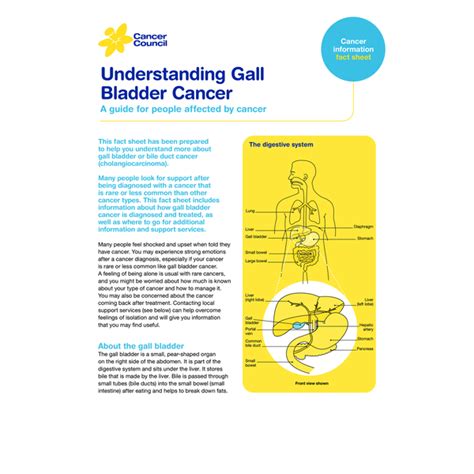 Types Of Cancer Page 2 Cancer Council Queensland Resources