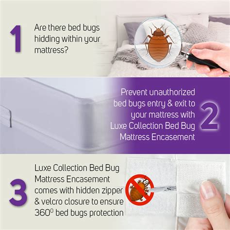 Most of us sleep on our mattresses without knowing what is lurks within. Bed Bugs Mattress Protector - Protect From Bed Bug Bites ...