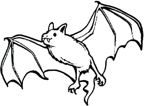 Bat Coloring Pages At Free Printable Colorings Pages