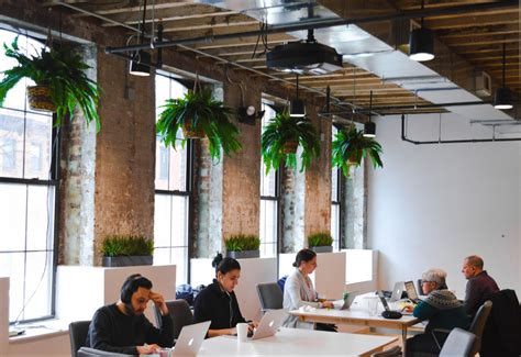 The 7 Best Office Plants To Enhance Any Workspace