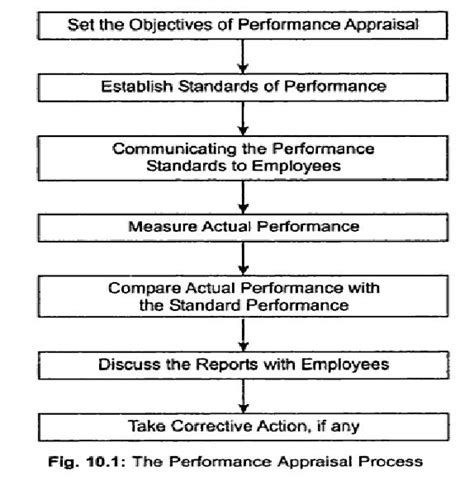 Management Process Of Performance Appraisal Chart
