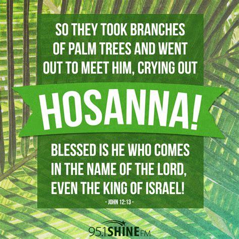 So They Took Branches Of Palm Trees And Went Out To Meet Him Crying