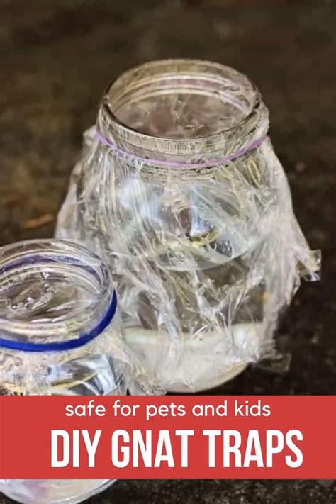 Incandescent lights were invented before fluorescent light and which glows when the filament of this light gets heated by the flow of high current through it. Get rid of gnats in the house quick with these DIY gnat ...