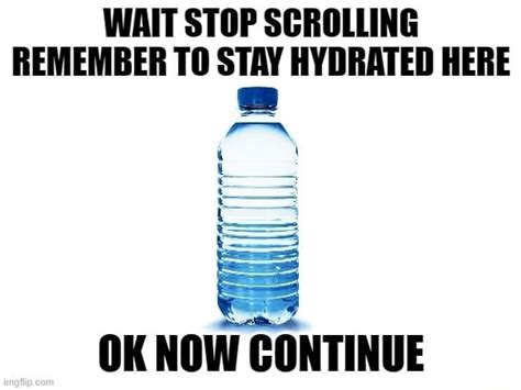 Wait Stop Scrolling Remember To Stay Hydrated Here Com Ok Now Co