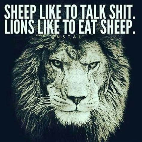 By justin raimondo, february 29, 2016. Sheep like to talk shit. Lions like to eat sheep. | Lion quotes, Warrior quotes, Leo quotes