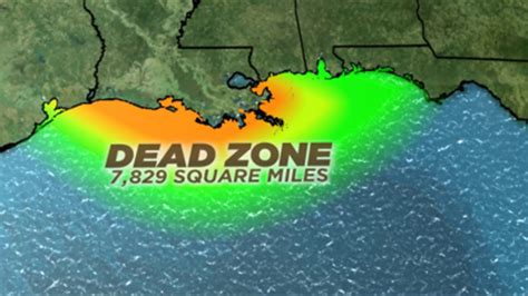 Terrifying Dead Zone In The Gulf Of Mexico Youtube