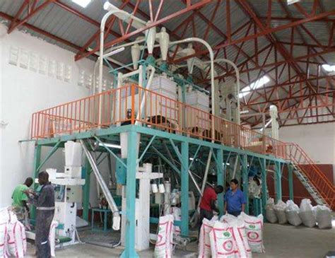 Complete Set Plant Maize Wheat Corn Flour Milling Mill China Maize