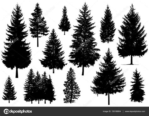 What kind of illustration is a pine tree? Silhouette of pine trees. — Stock Photo © YIK2007 #150188804