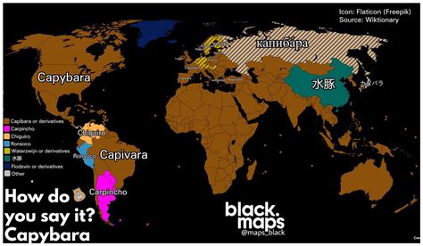 How Do You Say It Capybara By Mapsblack Maps On The Web
