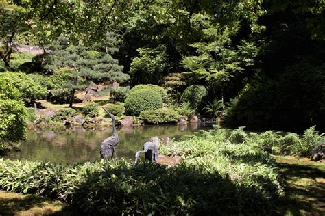 Check spelling or type a new query. Japanese Garden, Portland, Oregon. 07/2018. | Japanese ...