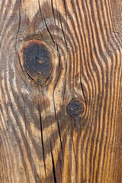 Rustic Wood Background Stock Image Image Of Nature 107863369