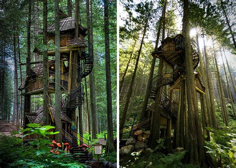 The 18 Greatest Tree Houses For Adults Global Entrepreneur Network