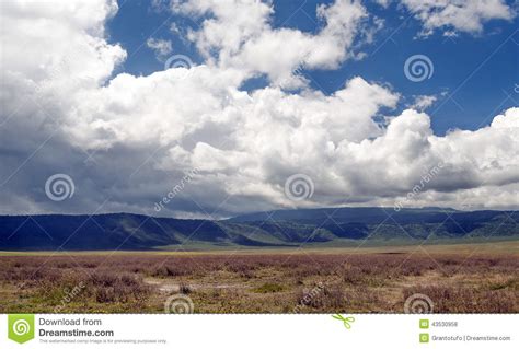 Ngorongoro Valley Stock Photo Image Of Meadows Grasses 43530958