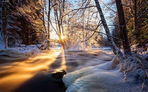Winter Trees River Ice Snow Sunset Wallpaper Nature And