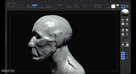 The Art Of Sculpture Sculpting Heads In Zbrush