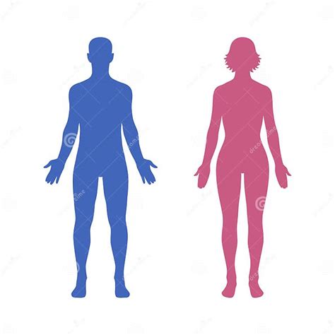male female body flat icon set for apps and websites stock vector illustration of anatomical