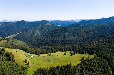 View Of Layered Mountain Ranges Covered With Dense Pine Forest And