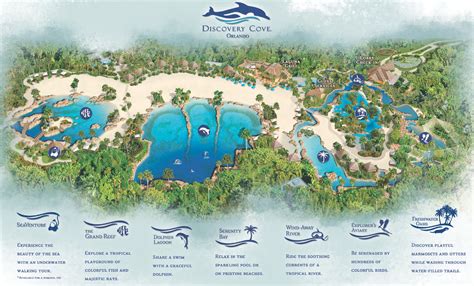 Map of various attractions near kissimmee, florida. Discovery Cove - Magical DIStractions